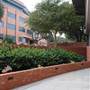 Trinity University