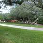 Trinity University