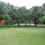 Trinity University