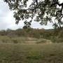 Old Glory Ranch