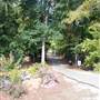 Gayla Mize Garden