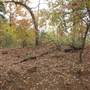 Davey Dogwood Park