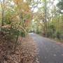 Davey Dogwood Park
