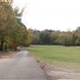 Davey Dogwood Park