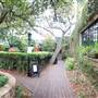 Palmer's Restaurant, Bar & Courtyard