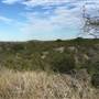 Old Ponderosa Ranch
