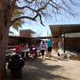 Animal World and Snake Farm