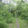 Cedar Hill State Park