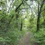 Cedar Hill State Park