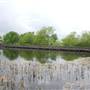 Cedar Hill State Park