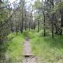 Cedar Hill State Park - Talala Trail