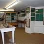 Pioneer City County Museum