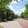 Fair Park Dallas
