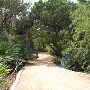 Zilker Botanical Gardens