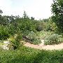 Zilker Botanical Gardens