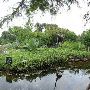 Zilker Botanical Gardens