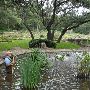 Zilker Botanical Gardens