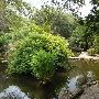 Zilker Botanical Gardens
