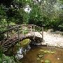 Zilker Botanical Gardens