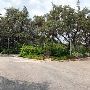Zilker Botanical Gardens