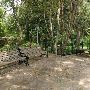 Zilker Botanical Gardens