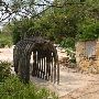Austin Nature and Science Center