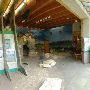 Austin Nature and Science Center