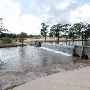 Louise Hays Park