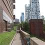 Buffalo Bayou