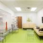 Squash Blossom Studios