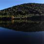 Madrone Ranch