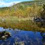 Madrone Ranch