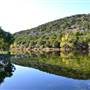 Madrone Ranch