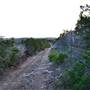 Madrone Ranch