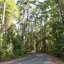 Tyler State Park