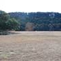 Henly Hill Ranch