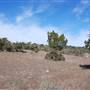 Henly Hill Ranch