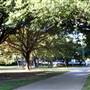 McLennan Community College