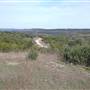 Longhorn River Ranch