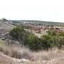 Longhorn River Ranch