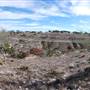 Longhorn River Ranch