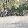 Longhorn River Ranch
