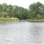 Lake Bastrop - South Shore Park