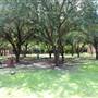 University of Texas Rio Grande Valley - Edinburg Campus