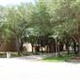 University of Texas Rio Grande Valley - Edinburg Campus