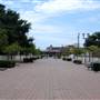 McIntyre Street Project