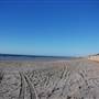 Galveston Seawall Blvd