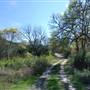 Sunset Ranch