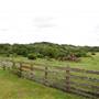 Storm Ranch
