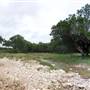 Storm Ranch